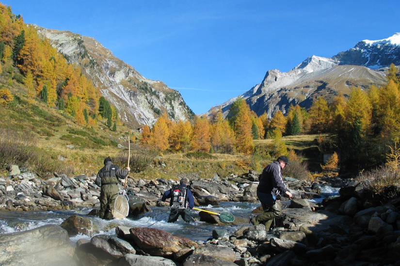 Fluss inmitten der herbstlichen Region