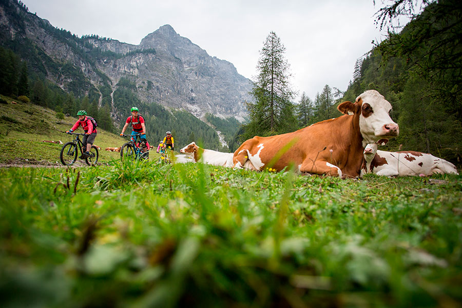 radfahren-land-salzburg010.jpg
