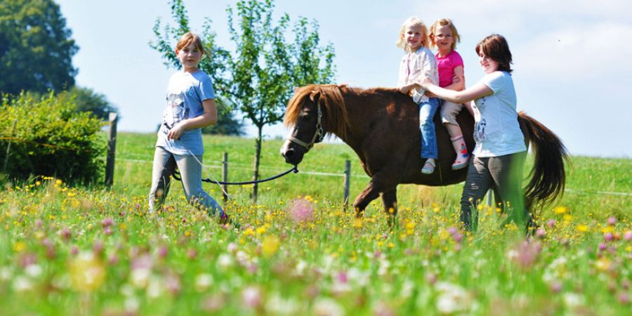 Kinder reiten auf dem Pferd über eine Blumenwiese