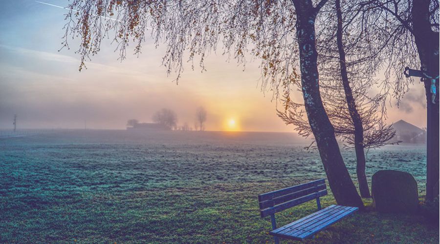 Sonnenaufgang und Morgentau in Bayern
