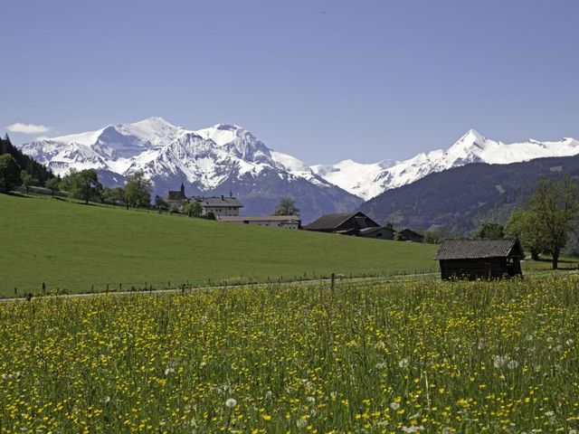Chalet Maishofen